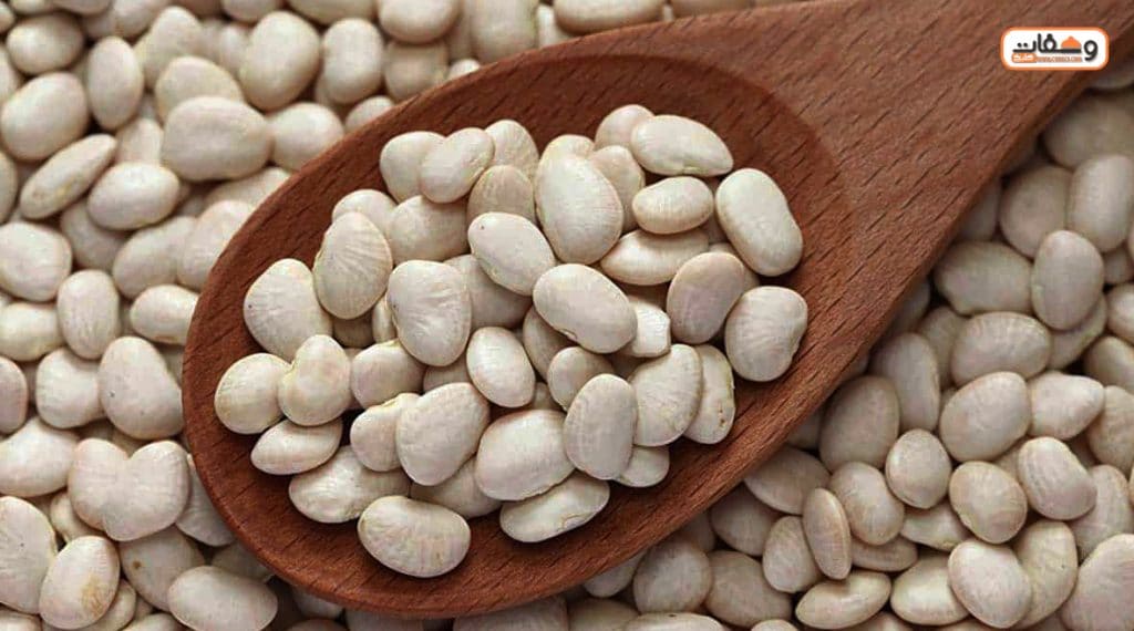 طريقة عمل الفاصوليا البيضاء بطريقة أميرة شنب